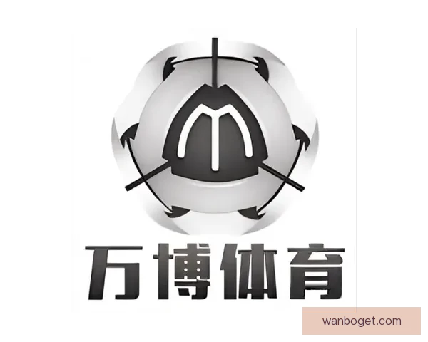 万博体育官网全面解析：全球体育赛事投注平台的安全性与用户体验分析
