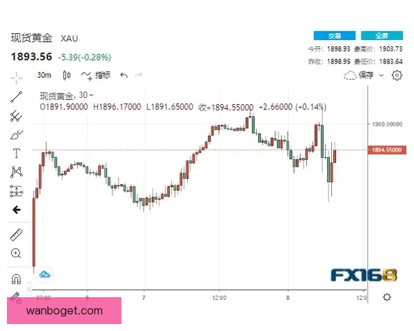世界杯赛果精准预测与比分走势深度分析指南